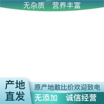 精品产地直发虫草超高性价比养生佳品