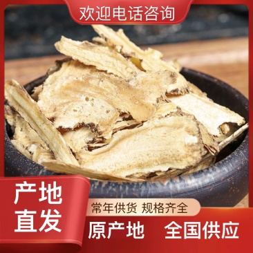 新鲜当归产地直发24小时在线咨询长期有货随时发货