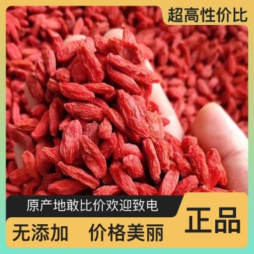 选购正宗枸杞厂家直销随时有货健康生活必备