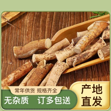 精品五指毛桃原产地直销欢迎电话咨询