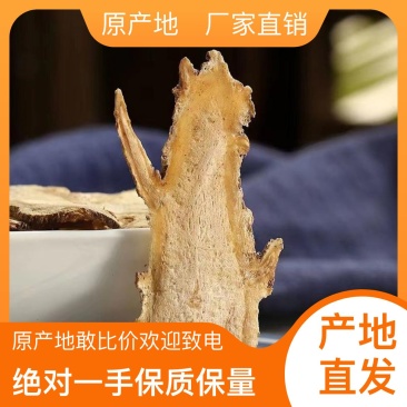 当归专业供应货源充足正品保障随时可聊