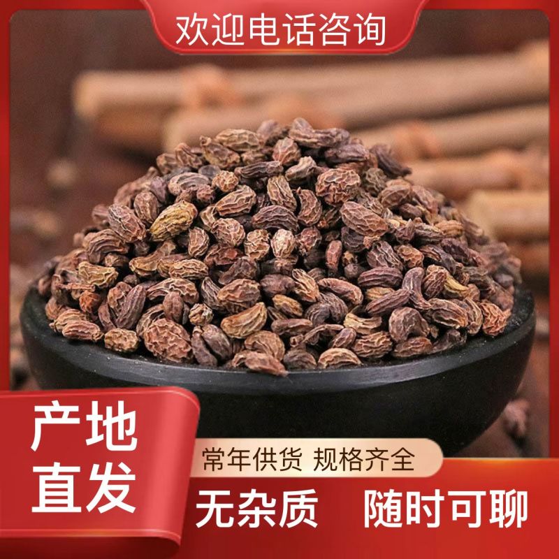 随时可聊优质女贞子长期供应快速发货