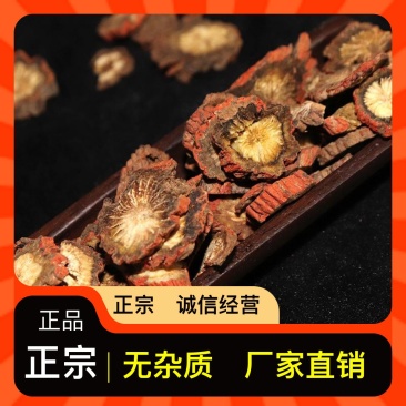 鲜丹参产地直销长期有货精品丹参品质保证