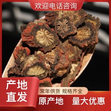 稀缺丹参一手货源纯净无杂质