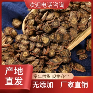 正规货源长期供应精品丹参自然生长品质**