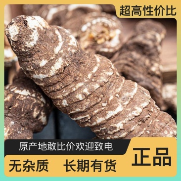 全网低价厂家直销新鲜纯野生重楼品质保证随时有货