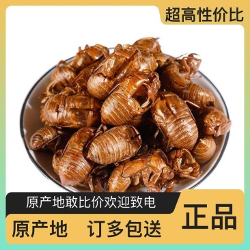 蝉蜕原产地供应保质保量全国发货让您的选择物超所值