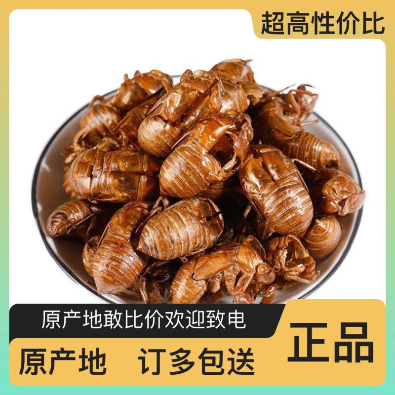 蝉蜕原产地供应保质保量全国发货让您的选择物超所值