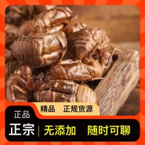 蝉蜕长期供货正品保障一手货/源优质特惠