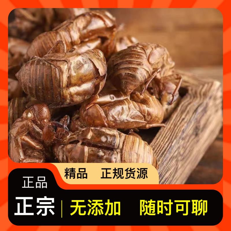蝉蜕长期供货正品保障一手货/源优质特惠