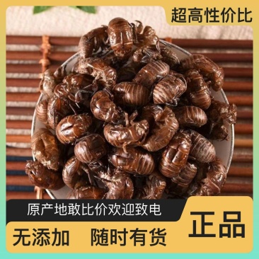 正宗蝉蜕***货源充足放心购买