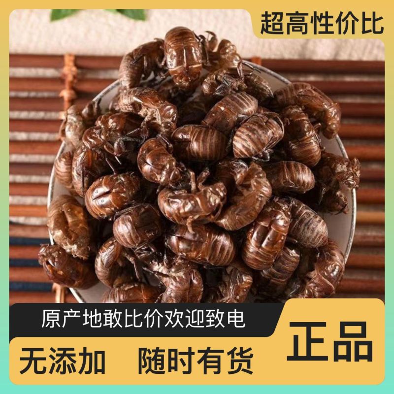 正宗蝉蜕***货源充足放心购买