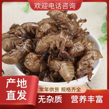 农户自采知了壳