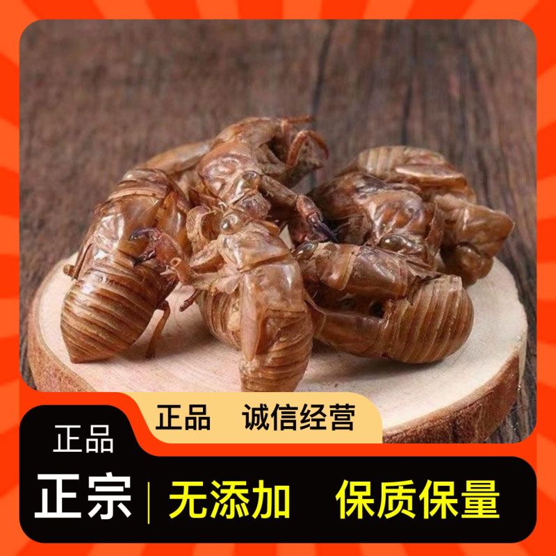 正规货源原产地直供蝉蜕新鲜到货随时可聊优质农产品