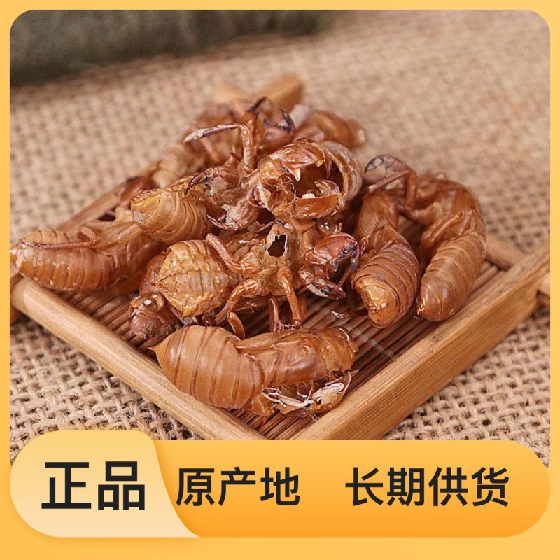 蝉蜕随时有货24小时在线服务厂家直销快速响应