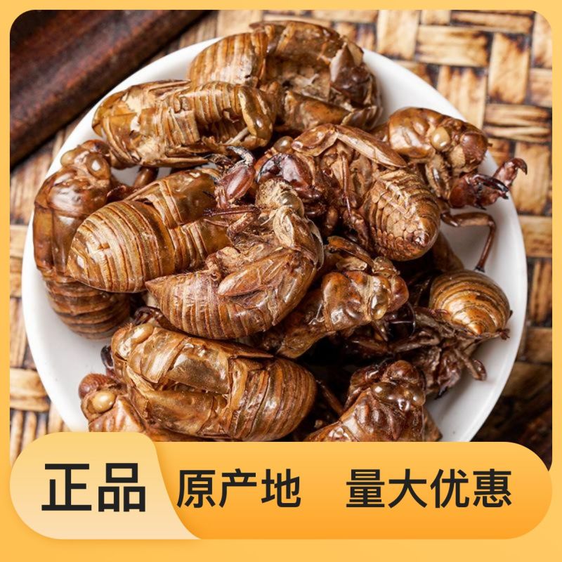 正宗无杂质蝉蜕源头厂家直销品质有保证