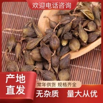 连翘全国大量供应诚信保障电话咨询享更多优惠