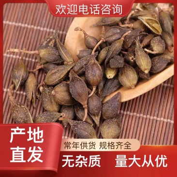 超高性价比连翘欢迎联系选购**无杂质