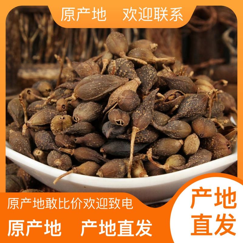 天然***欢迎电话咨询长期供货连翘