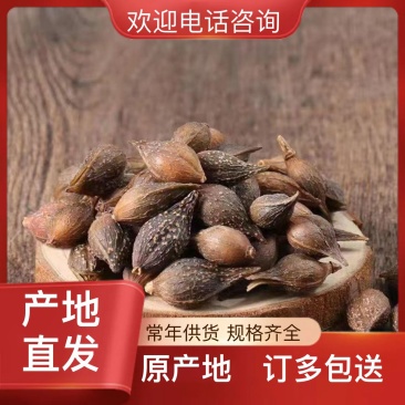 水煮连翘