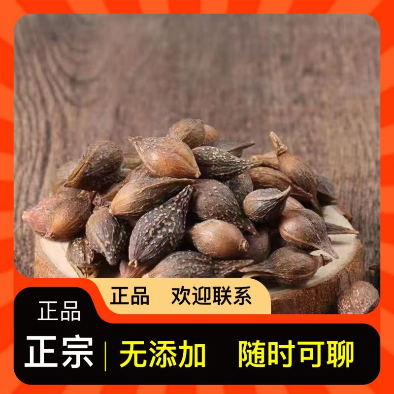 连翘全国大量供应诚信保障电话咨询享更多优惠