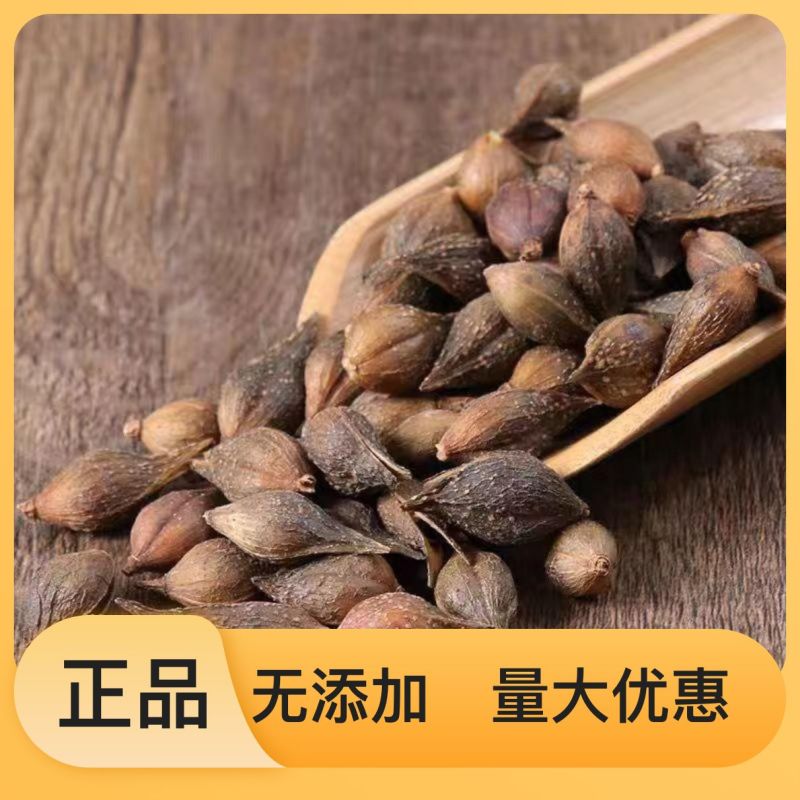 连翘全国大量供应诚信保障电话咨询享更多优惠