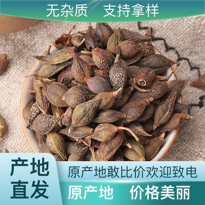 连翘全国大量供应诚信保障电话咨询享更多优惠