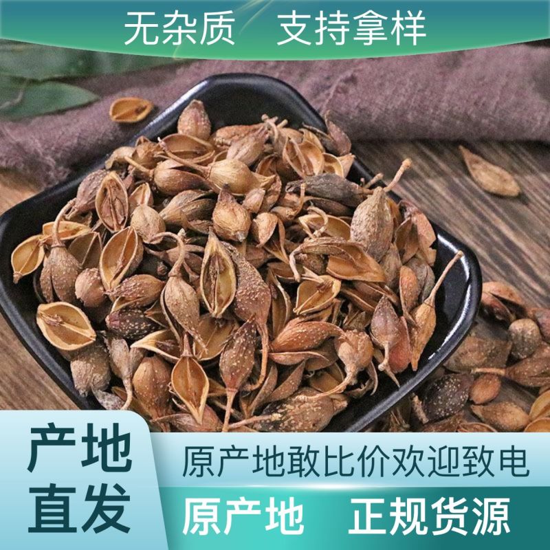 自产自销低价连翘嫩芽正品保障全网优惠