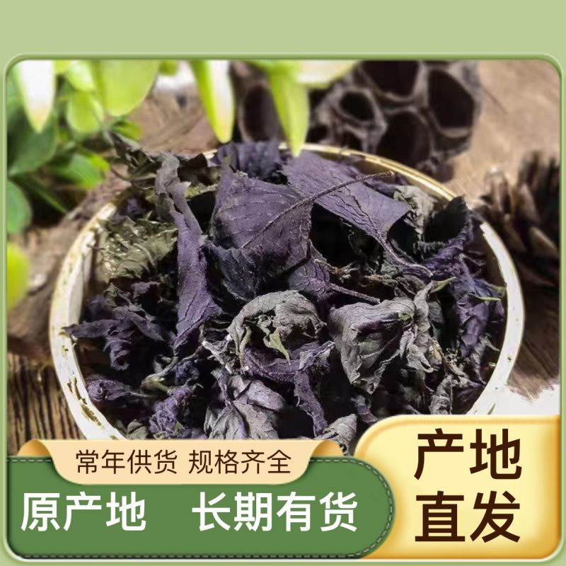 优质紫苏叶·无添加更安全·货源充足不等待·随时电话咨询