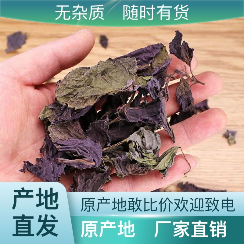 精品紫苏叶正规货源量大从优优质供应