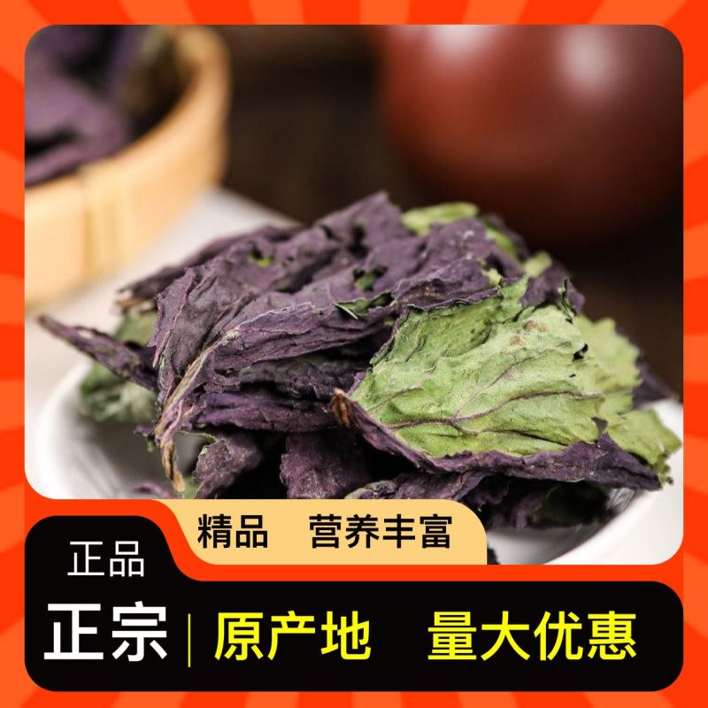 正品保障自产自销紫苏叶营养丰富
