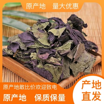 优质紫苏叶·***更安全·货源充足不等待·随时电话咨询