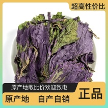 新鲜紫苏叶长期供应***更健康欢迎联系