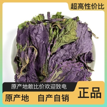 新鲜紫苏叶长期供应***更健康欢迎联系