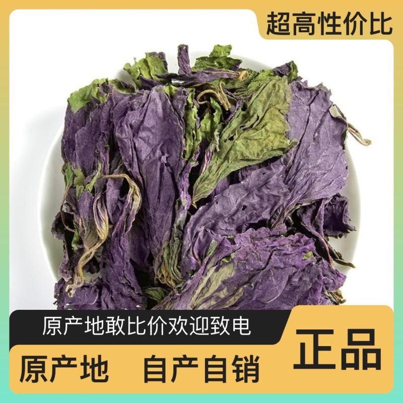 新鲜紫苏叶长期供应***更健康欢迎联系
