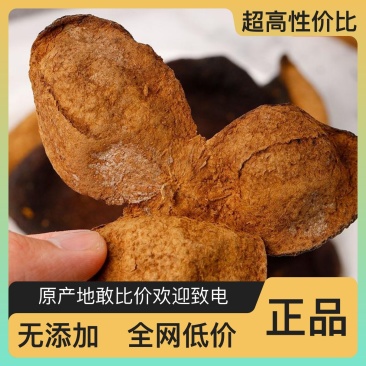 新鲜陈皮产地直接发货品质保证营养丰富健康无忧