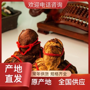 陈皮之家汇聚一手优质货源正规渠道采购精品陈皮值得品尝