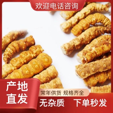 野生冬夏虫草欢迎联系***********正品保障