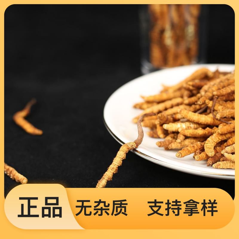 珍稀虫草长期有货正品保证24小时在线服务