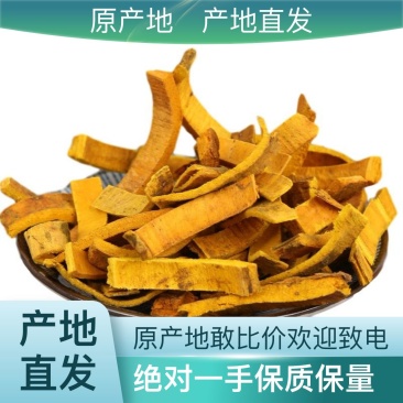 全国供应优质黄柏货源充足无杂质