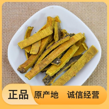 优质黄柏精品供应保质保量欢迎联系洽谈