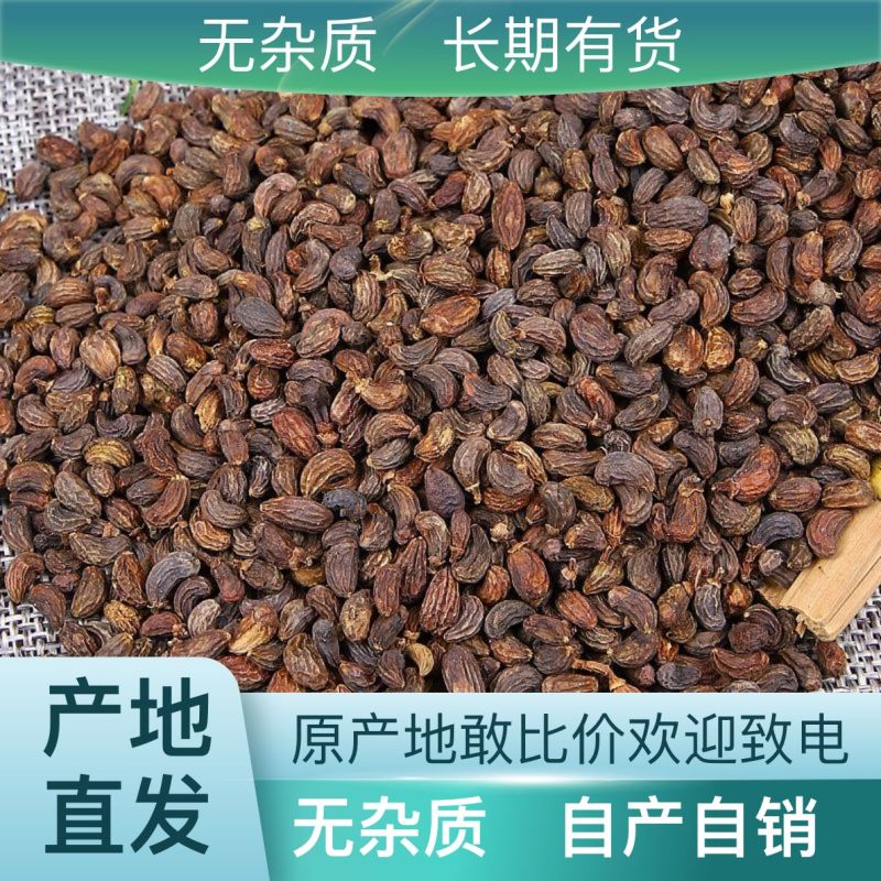 欢迎联系购买正宗女贞子厂家直销优惠