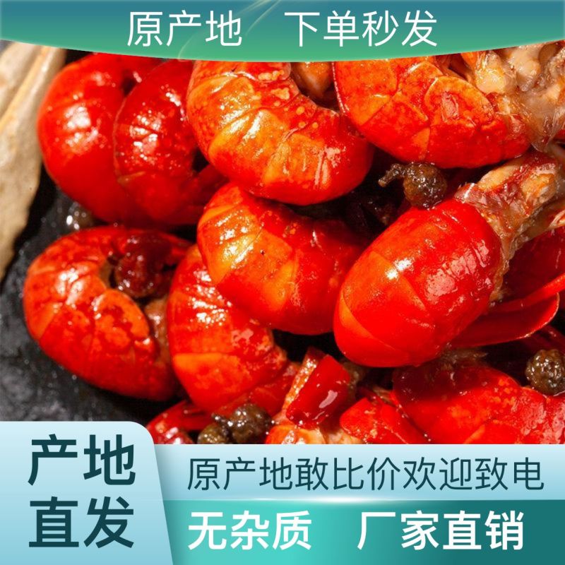 自产自销麻辣小龙虾正品保证量大从优新鲜直送