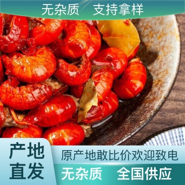 全网低价麻辣小龙虾无杂质正品保证品质之选