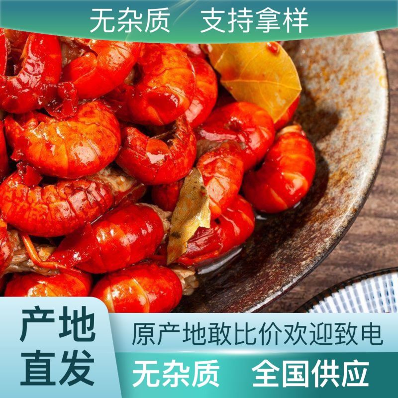 全网低价麻辣小龙虾无杂质正品保证品质之选
