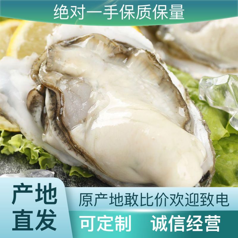 钦州三墩生蚝，物美价廉，平均三个一斤