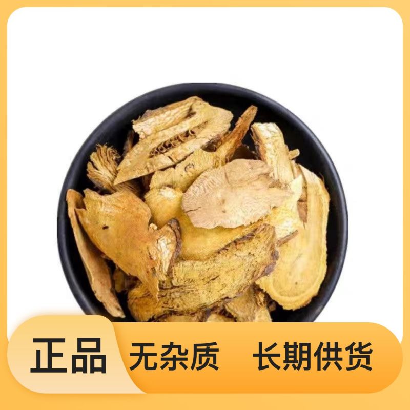 野生多年生土大黄