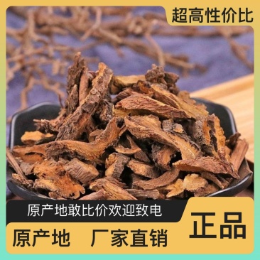 土大黄