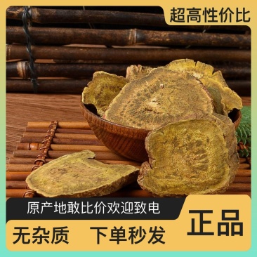 土大黄