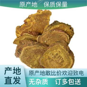 土大黄